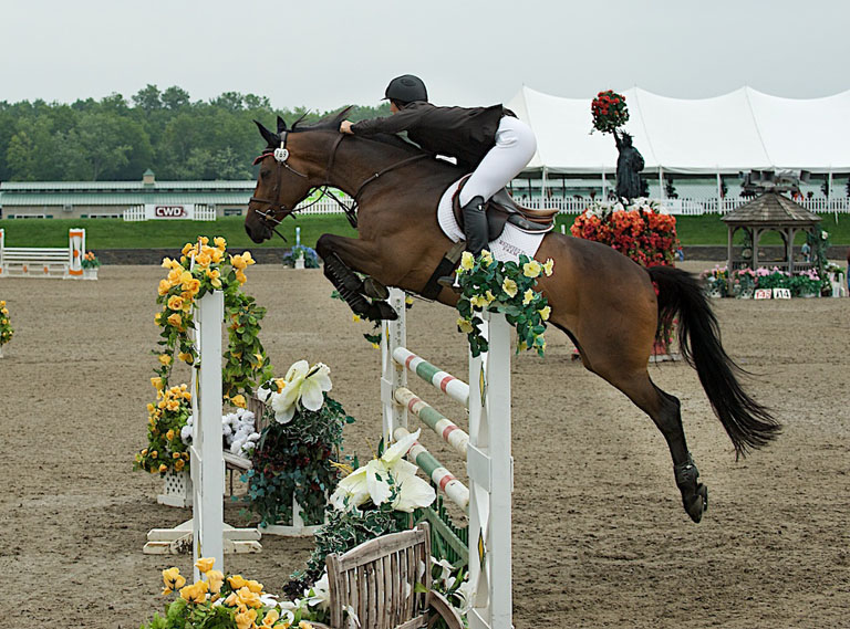 Equestrian horse jumping  1029